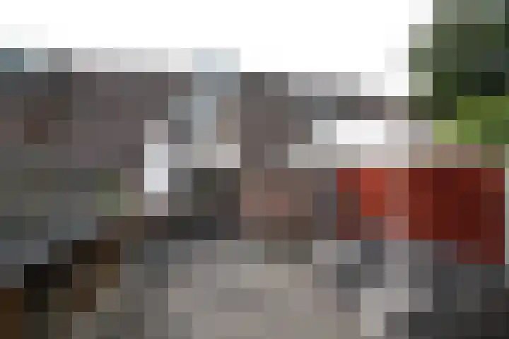 De Koolmees 162 Vriezenveen thumbnail 28
