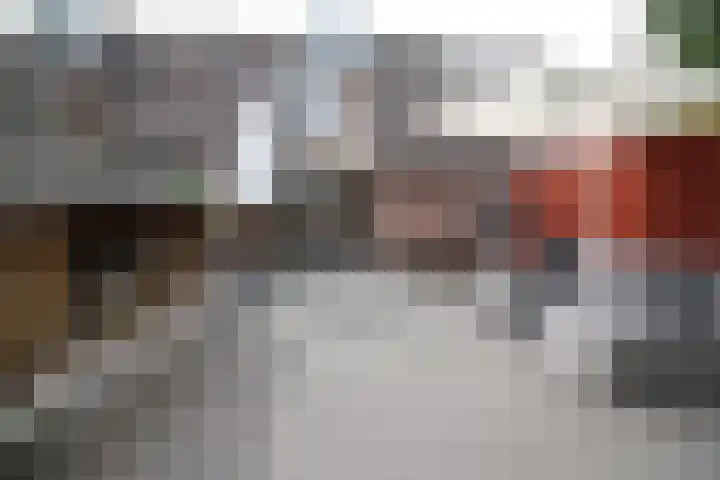 De Koolmees 162 Vriezenveen thumbnail 29