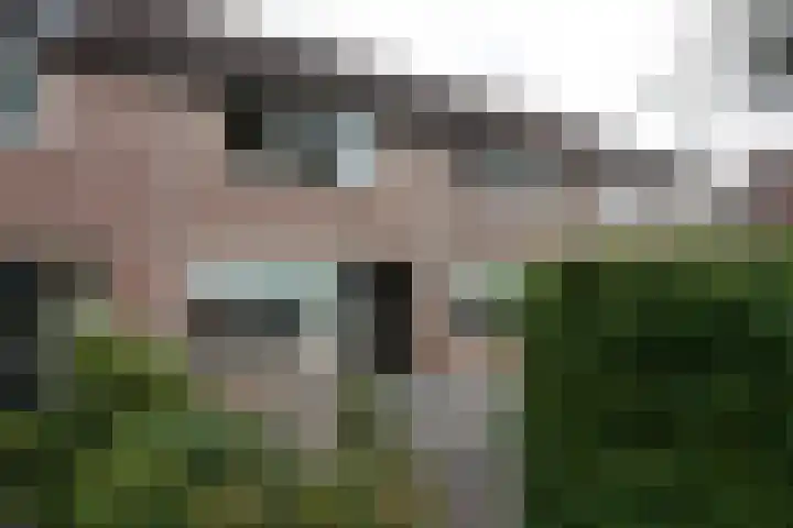 De Koolmees 162 Vriezenveen thumbnail 30