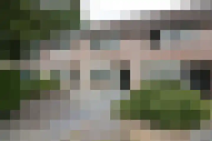 De Koolmees 162 Vriezenveen thumbnail 31