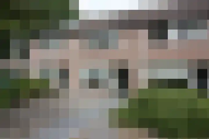 De Koolmees 162 Vriezenveen thumbnail 32