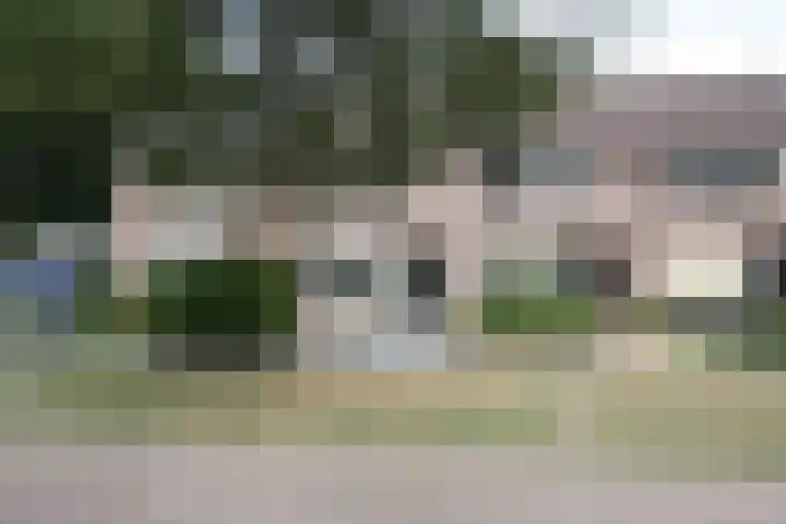 De Koolmees 162 Vriezenveen thumbnail 33