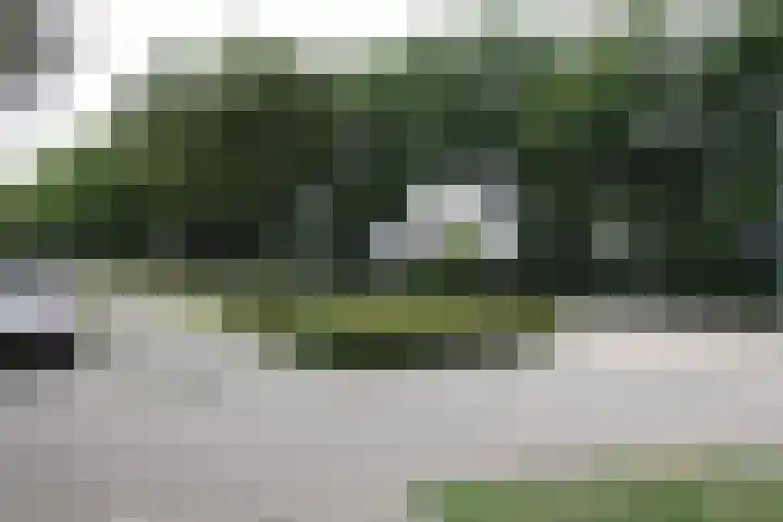 De Koolmees 162 Vriezenveen thumbnail 34