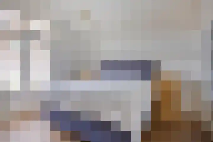 De Koolmees 162 Vriezenveen thumbnail 36