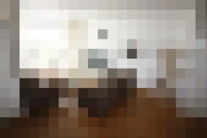 De Koolmees 162 Vriezenveen thumbnail 4