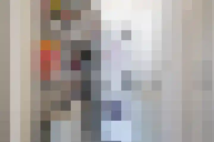 De Koolmees 162 Vriezenveen thumbnail 5