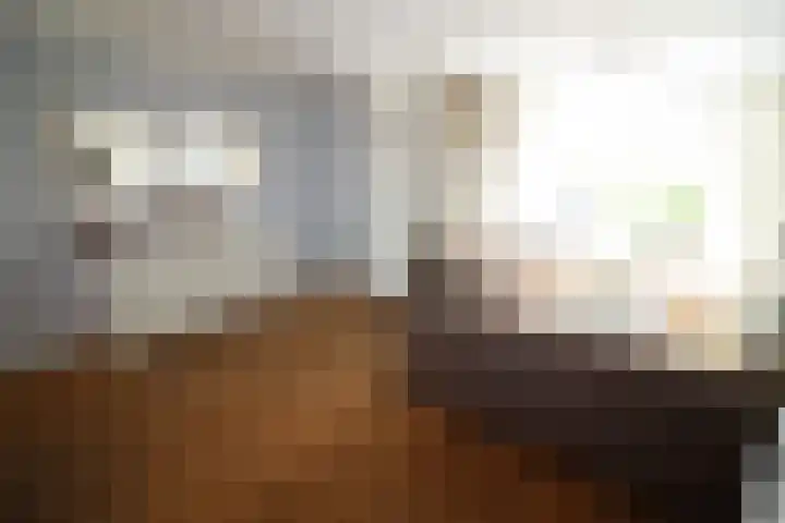 De Koolmees 162 Vriezenveen thumbnail 6