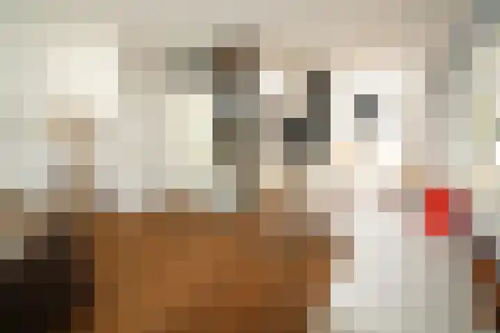 De Koolmees 162 Vriezenveen thumbnail 7