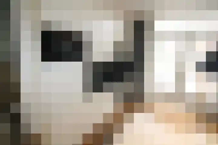 De Koolmees 162 Vriezenveen thumbnail 9