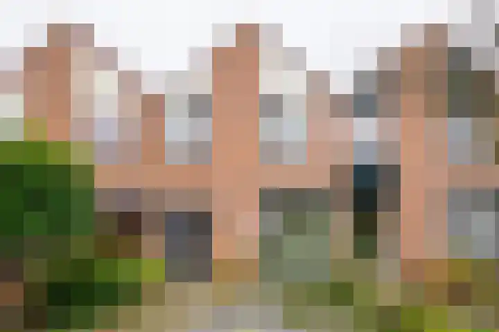 De Koolmees 37 Vriezenveen