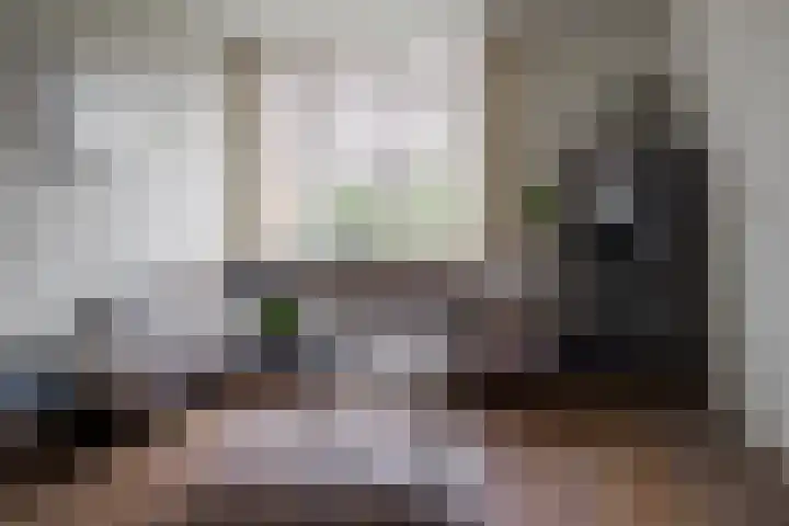 De Koolmees 37 Vriezenveen thumbnail 10
