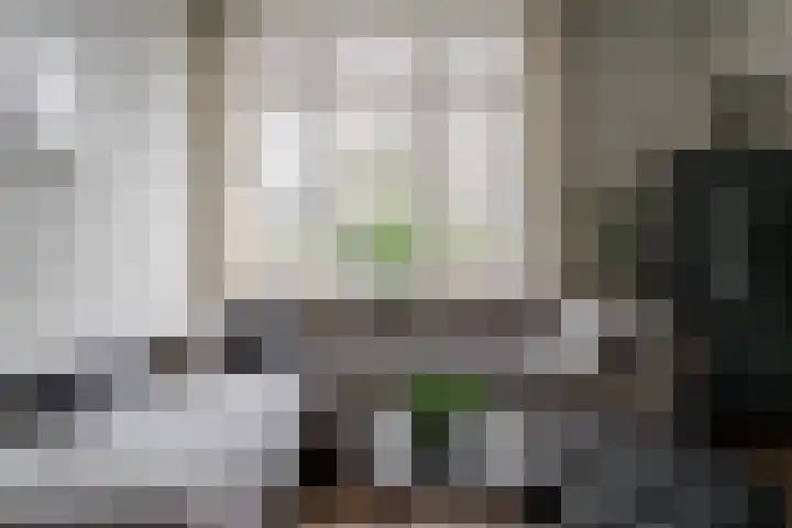 De Koolmees 37 Vriezenveen thumbnail 13