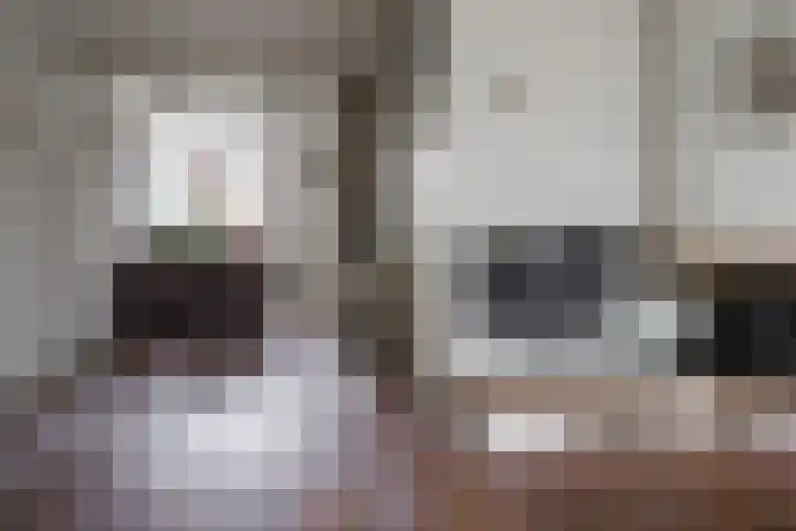 De Koolmees 37 Vriezenveen thumbnail 14
