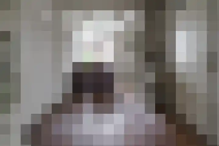 De Koolmees 37 Vriezenveen thumbnail 15