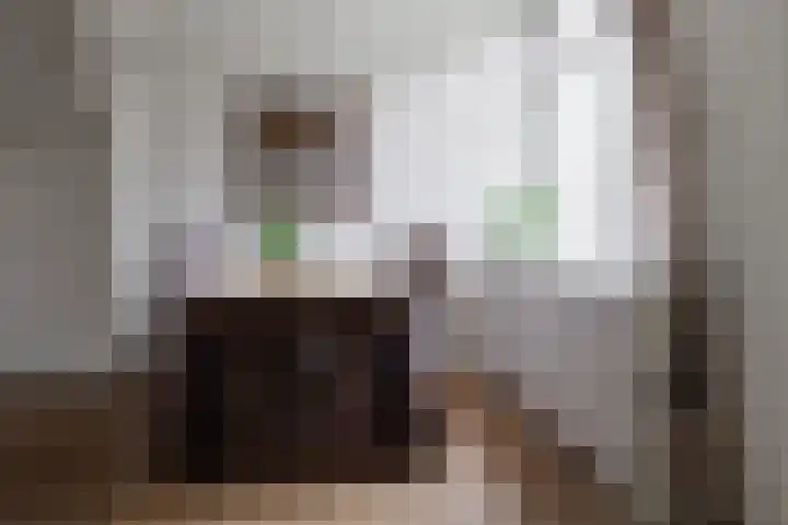 De Koolmees 37 Vriezenveen thumbnail 16