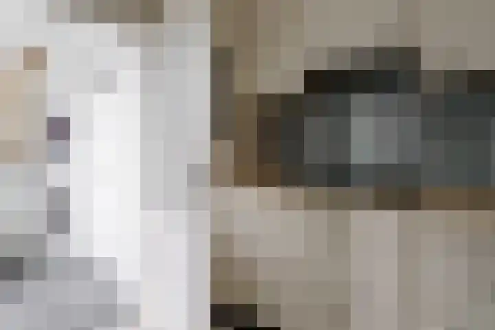 De Koolmees 37 Vriezenveen thumbnail 21