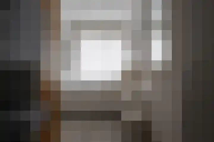 De Koolmees 37 Vriezenveen thumbnail 23