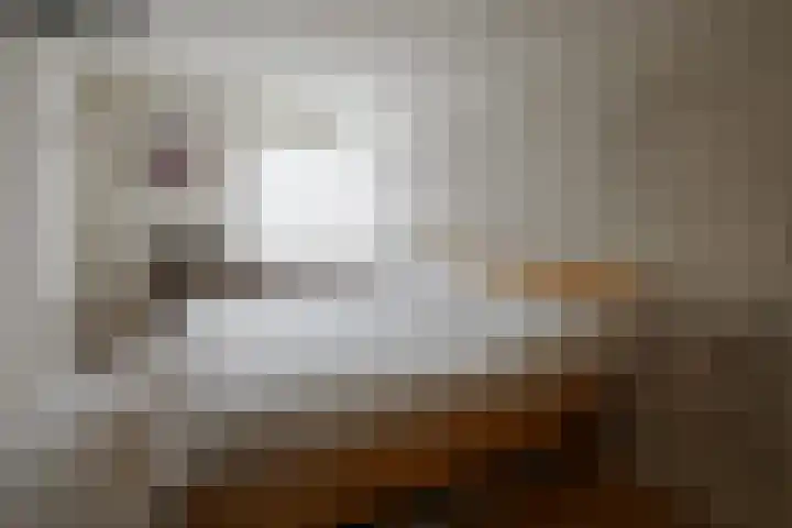 De Koolmees 37 Vriezenveen thumbnail 26