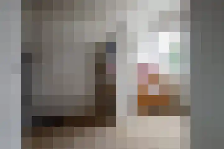 De Koolmees 37 Vriezenveen thumbnail 27