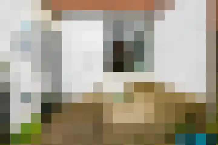 De Koolmees 37 Vriezenveen thumbnail 32