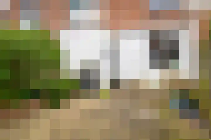 De Koolmees 37 Vriezenveen thumbnail 33
