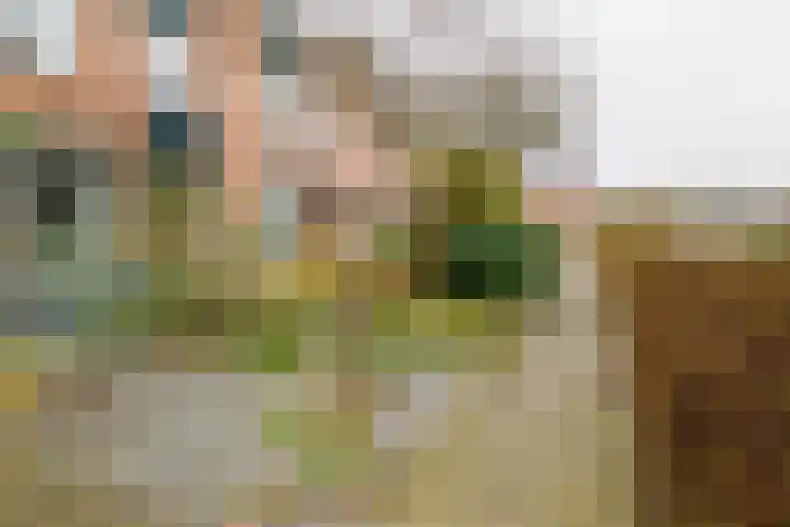 De Koolmees 37 Vriezenveen thumbnail 36