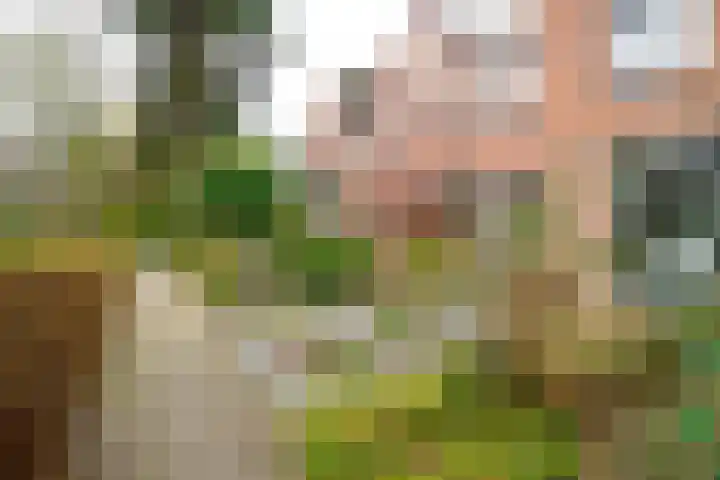 De Koolmees 37 Vriezenveen thumbnail 37