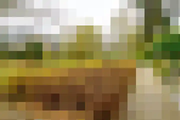 De Koolmees 37 Vriezenveen thumbnail 38