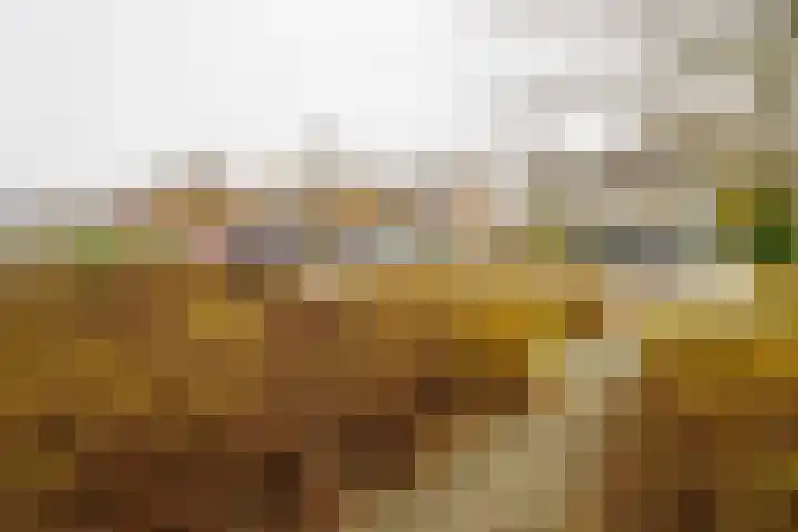 De Koolmees 37 Vriezenveen thumbnail 39