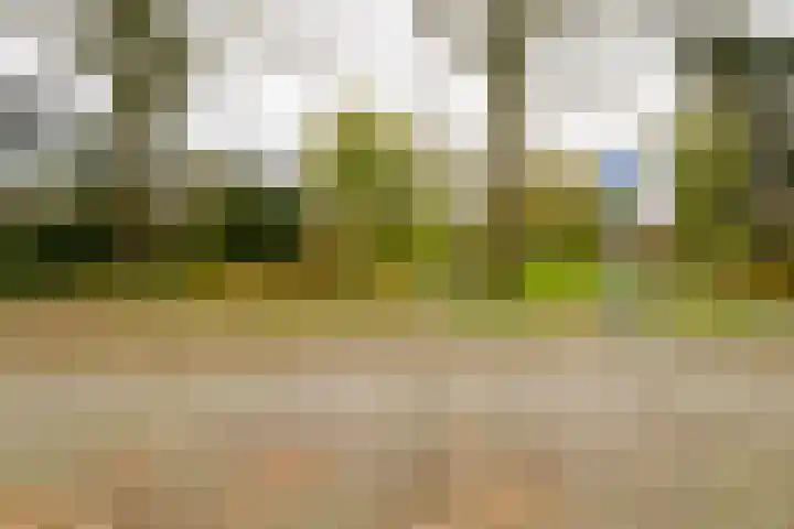 De Koolmees 37 Vriezenveen thumbnail 40