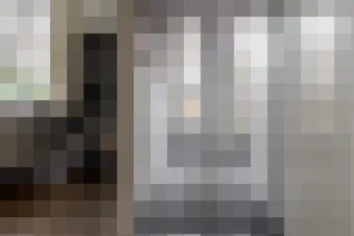 De Koolmees 37 Vriezenveen thumbnail 7
