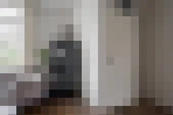 De Koolmees 37 Vriezenveen thumbnail 8