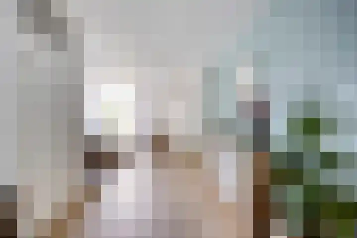 De Koolmees 51 Vriezenveen thumbnail 10