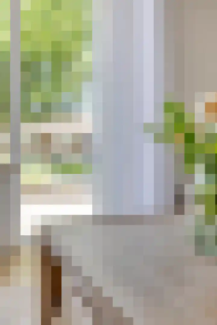 De Koolmees 51 Vriezenveen thumbnail 11