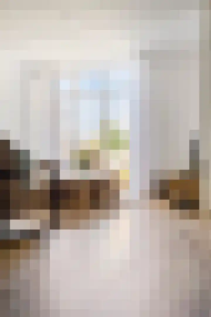 De Koolmees 51 Vriezenveen thumbnail 12