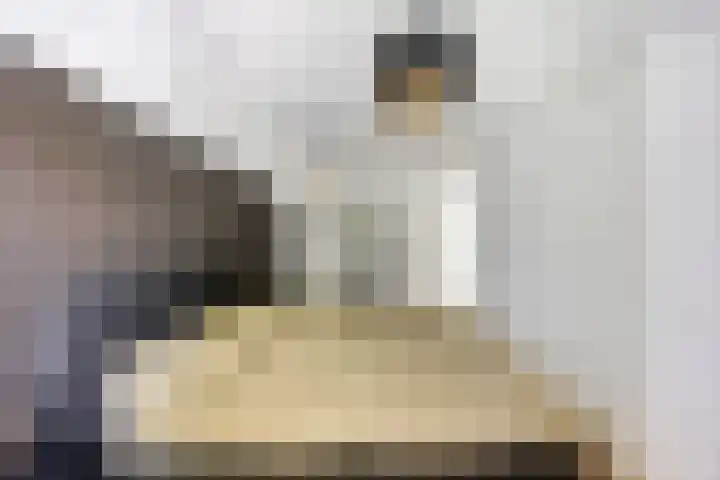 De Koolmees 51 Vriezenveen thumbnail 14