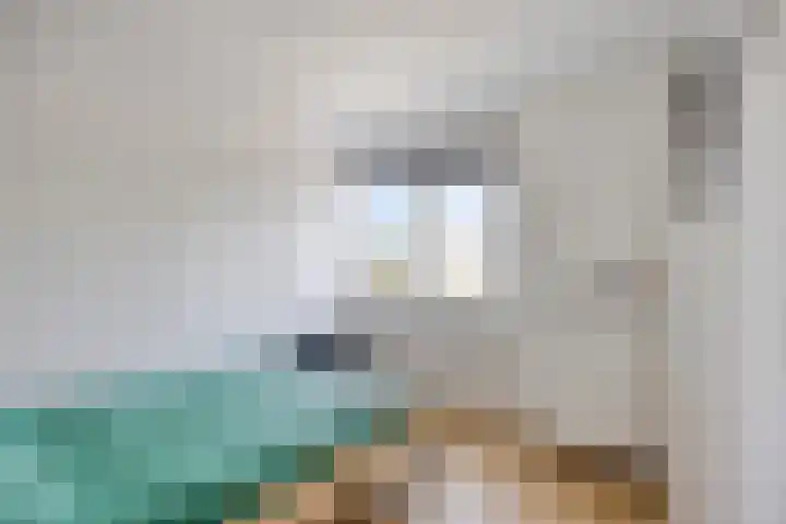 De Koolmees 51 Vriezenveen thumbnail 17