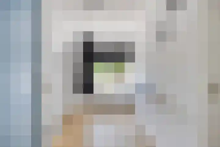 De Koolmees 51 Vriezenveen thumbnail 18