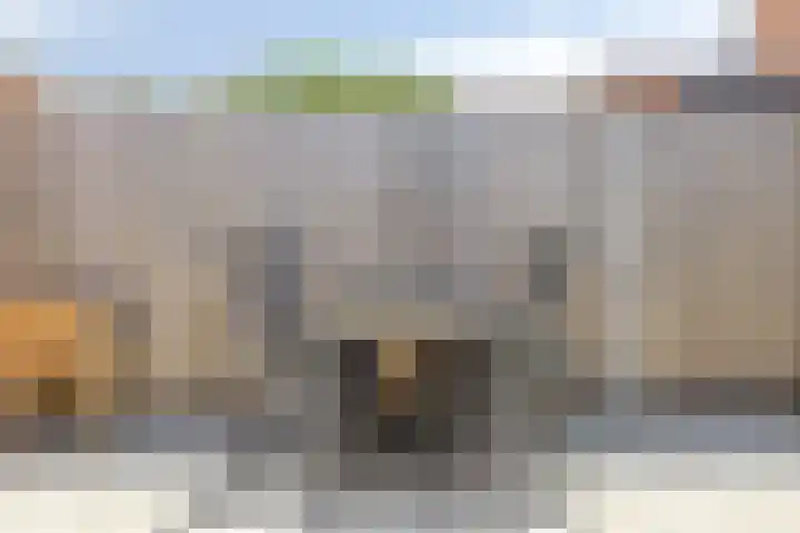 De Koolmees 51 Vriezenveen thumbnail 22