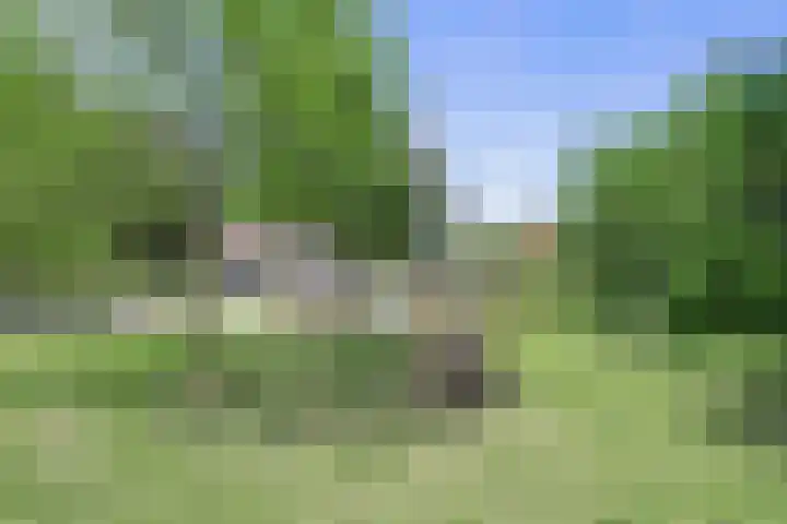 De Koolmees 51 Vriezenveen thumbnail 23