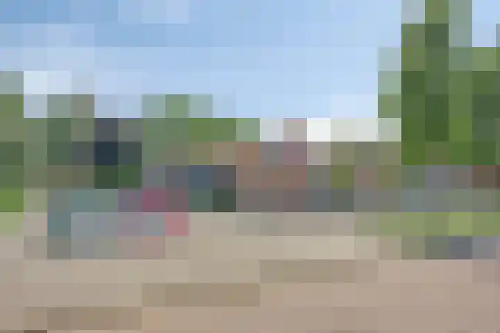 De Koolmees 51 Vriezenveen thumbnail 24