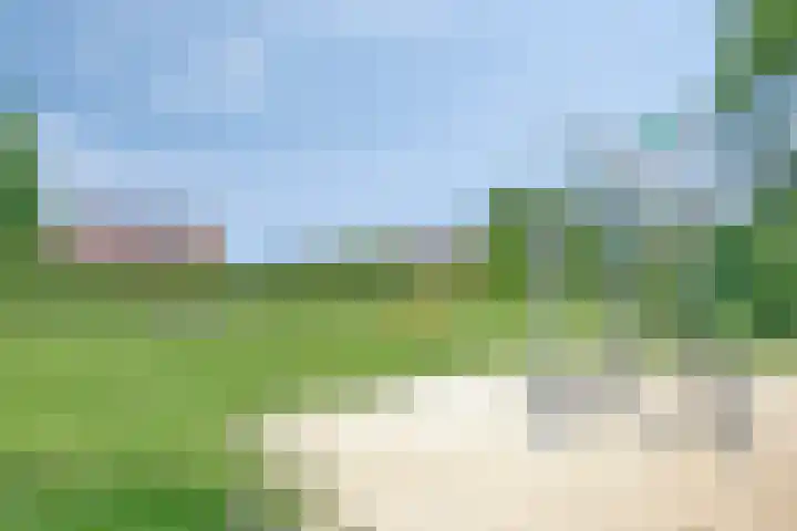 De Koolmees 51 Vriezenveen thumbnail 25