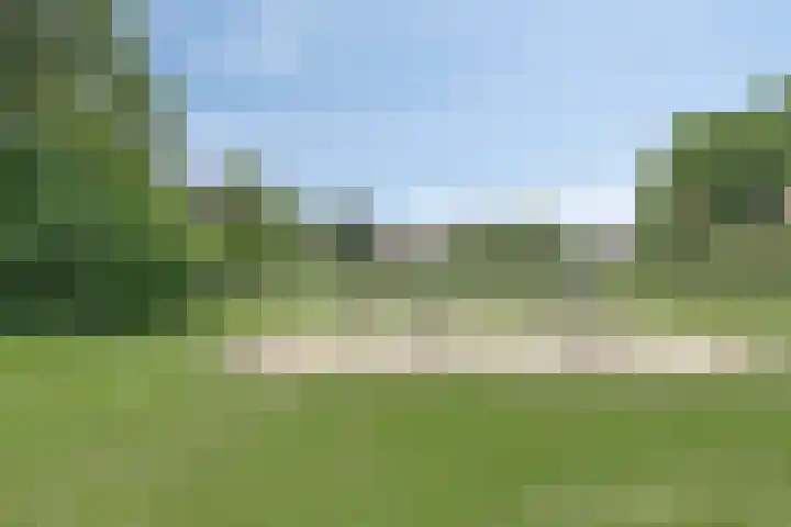 De Koolmees 51 Vriezenveen thumbnail 26