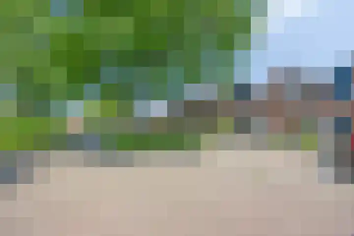 De Koolmees 51 Vriezenveen thumbnail 28