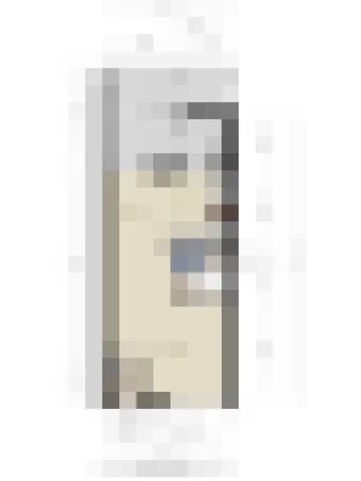 De Koolmees 51 Vriezenveen thumbnail 29