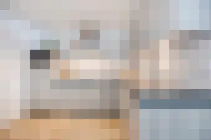 De Koolmees 51 Vriezenveen thumbnail 4