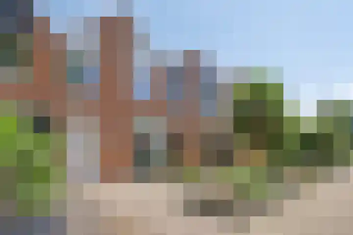 De Koolmees 51 Vriezenveen thumbnail 5
