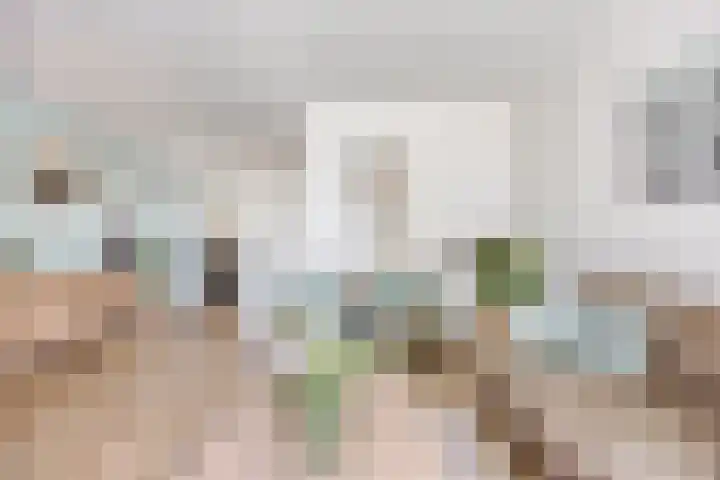 De Koolmees 51 Vriezenveen thumbnail 6