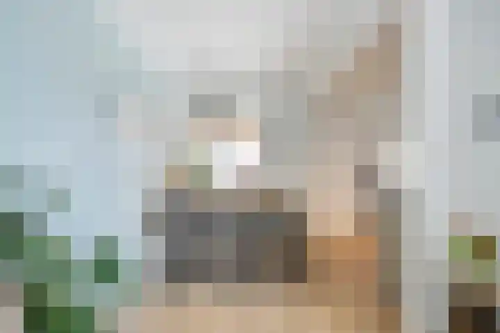 De Koolmees 51 Vriezenveen thumbnail 8