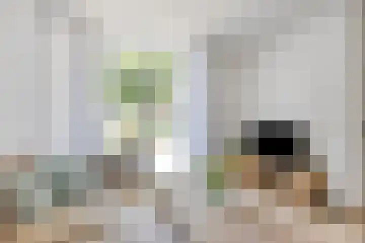 De Koolmees 51 Vriezenveen thumbnail 9